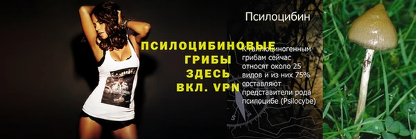 каннабис Аркадак