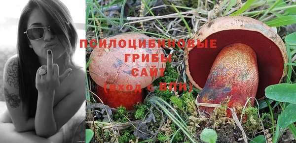 винт Рославль