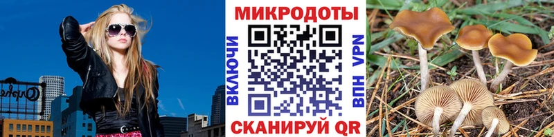 как найти закладки  Сольвычегодск  Псилоцибиновые грибы ЛСД 